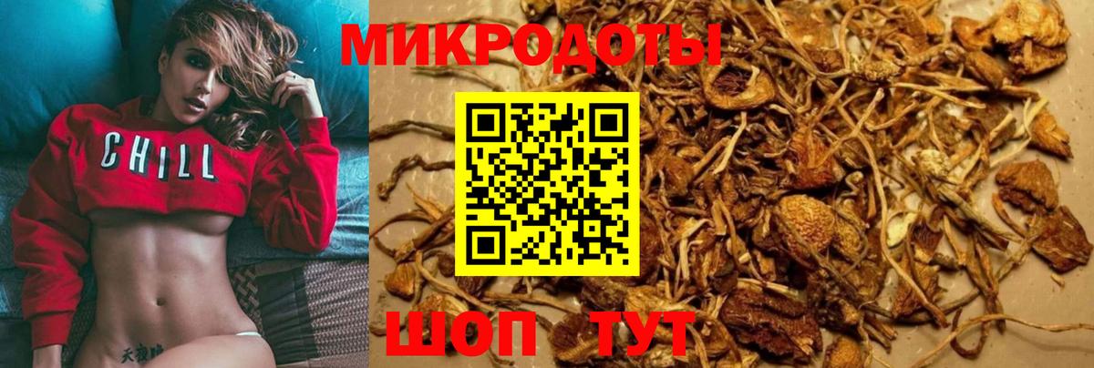 Дальнереченск  Псилоцибиновые грибы Cubensis  Вход с VPN 