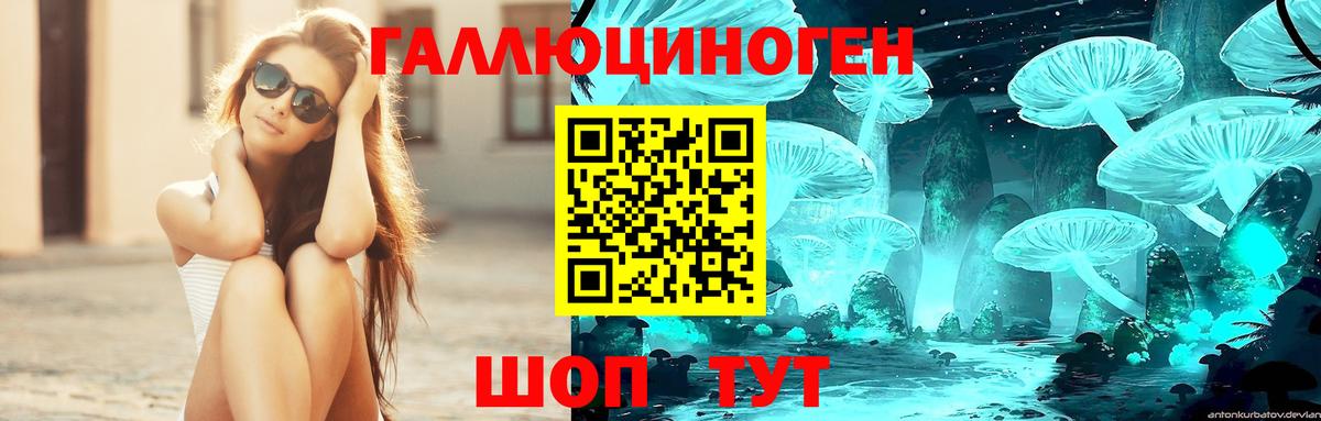 Галлюциногенные грибы Psilocybine cubensis Дальнереченск